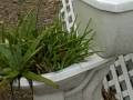 videos de Fertilizer