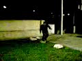 in the night trubia