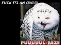 my first video ever made. ben came up with the parody lyrics, i made the video, dir en grey made the song. the fan-art of gaara with his sand armor falling off of his face was drawn by me last year. the drawing of the cat and the bear and the soccerball with fangs was drawn by my friend bearsuit. also, this is a test video to see how well i could make one on my first attempt, so some pictures arent in there because i havent taken them yet. also, some pictures are of me and my friends, and some of them are an inside joke. and, that picture of the guy shooting an orc that has the name Gaarasama over his head, thats one of my characters on ffxi, i made him last summer