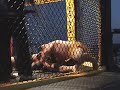 Jesh vs Caleb Metzger - July 19, 2008