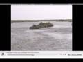 Hurricane Gustav Plaquemines