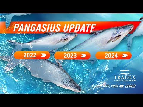 3MMI - Pangasius Market Update: 2022 Comparison, 2023 Challenges, 2024 Opportunities and Strategic Insights