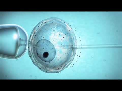 Image de prévisualisation YouTube