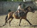 Brumaire et moi. Brumaire et moi.