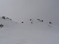 Kolker skis Snowbasin Mens Olympic Downhill Glickman