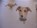 Rufus the Greyhound