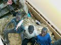Le fleuve Sénégal-3- Le fleuve Sénégal-3-