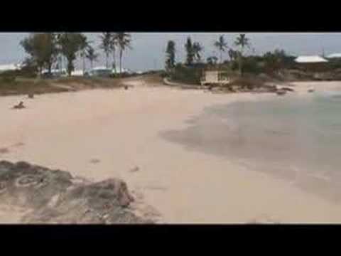 Bermuda Public Beach Review of John ...