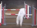 Jumping DTC A Klasse