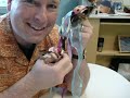 Making an accordian-fold album Making an accordian-fold album