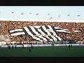 paok-partizan brothers for life