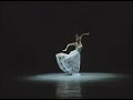 peacock dance