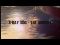 X-Ray Dog - The Journey