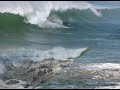 Surf Surf
