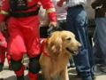 un milagro bajo tierra