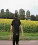 Clip Marc Lavoine Les tournesols