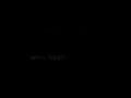 Weatherstorm - Djonny Bondjorno - The Panther is watching U.