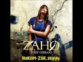 cest-chelou-zaho-chelou-clip.html