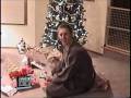 Kid gets AVGN DVD for Christmas