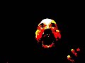 AudioBot - Electric Audiobotany part2 AudioBot - Electric Audiobotany part2