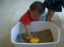 Bird Food Play