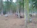 why you should'nt try to film paintballing