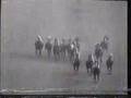 Clásico Simón Bolívar 1966 Socopó