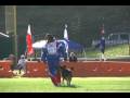 2008 WUSV World Championship T. Floyd & Karlo vom Floyd Haus, SchH3, FH, KKL2