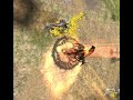 666 SupaDupaFly, LotR Bfme2/GW