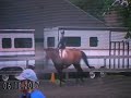 jumping amoss :]