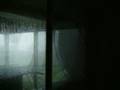 Brisbane storm, 16 November 2008