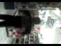 videos de Bubu