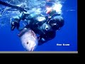 spearfishing