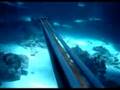 Spearfishing