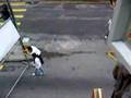 YouTube Video: 天后誕2008 Digital Asset