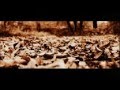 videos de COVERONEHUNDRED.wmv