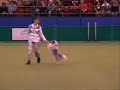 Emmy and Biscuit performing at Crufts 2007