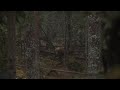 dette er en trailer til filmen hjortejakt 2 som kommer for salg desember 2008. produsent kristoffer clausen