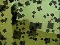 El video punki de las ratas p1