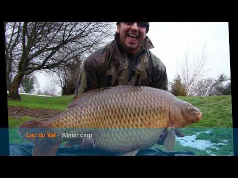 February 2011 Webcast, Feb 2011