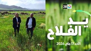 يد الفلاح : الأحد 17 ماي 2026