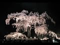 ??????  Gagaku:Etenraku