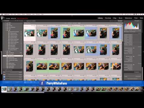 how to obtain feedback