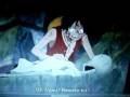 videos de la stupidité de luffy