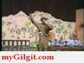 Gilgit Cultural Dance