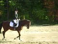 Boston Bay First Dressage Test