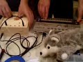 tr-606 + circuit bend = SYNC v2.0