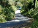 videos de Ferreiro y ojeda de lado en el rallye de ferrol 2008