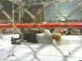 WWE - Jeff Hardy Does A Swanton Bomb Off Cage WWE - Jeff Hardy Does A Swanton Bomb Off Cage