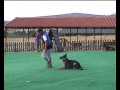 Καλοκαιρινη προπονιση